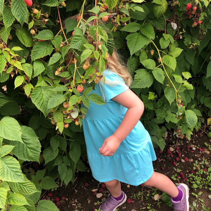 27CDC0A9-57A2-414E-BCAE-0F973768596C