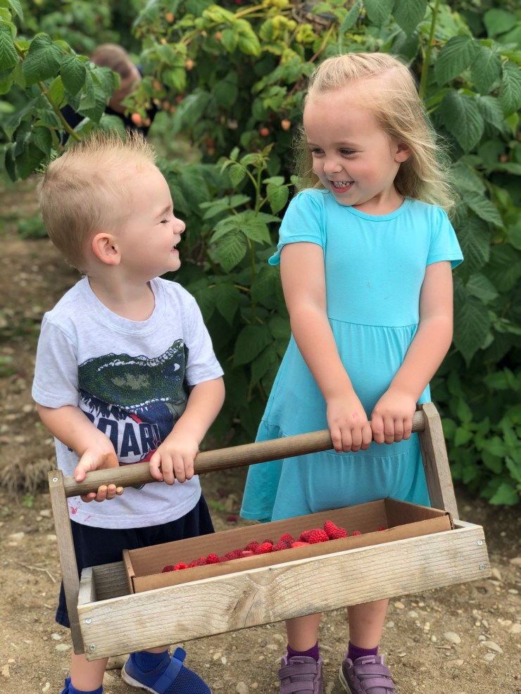 7C6F432D-9FC6-4618-98A8-F17BADD1DF57